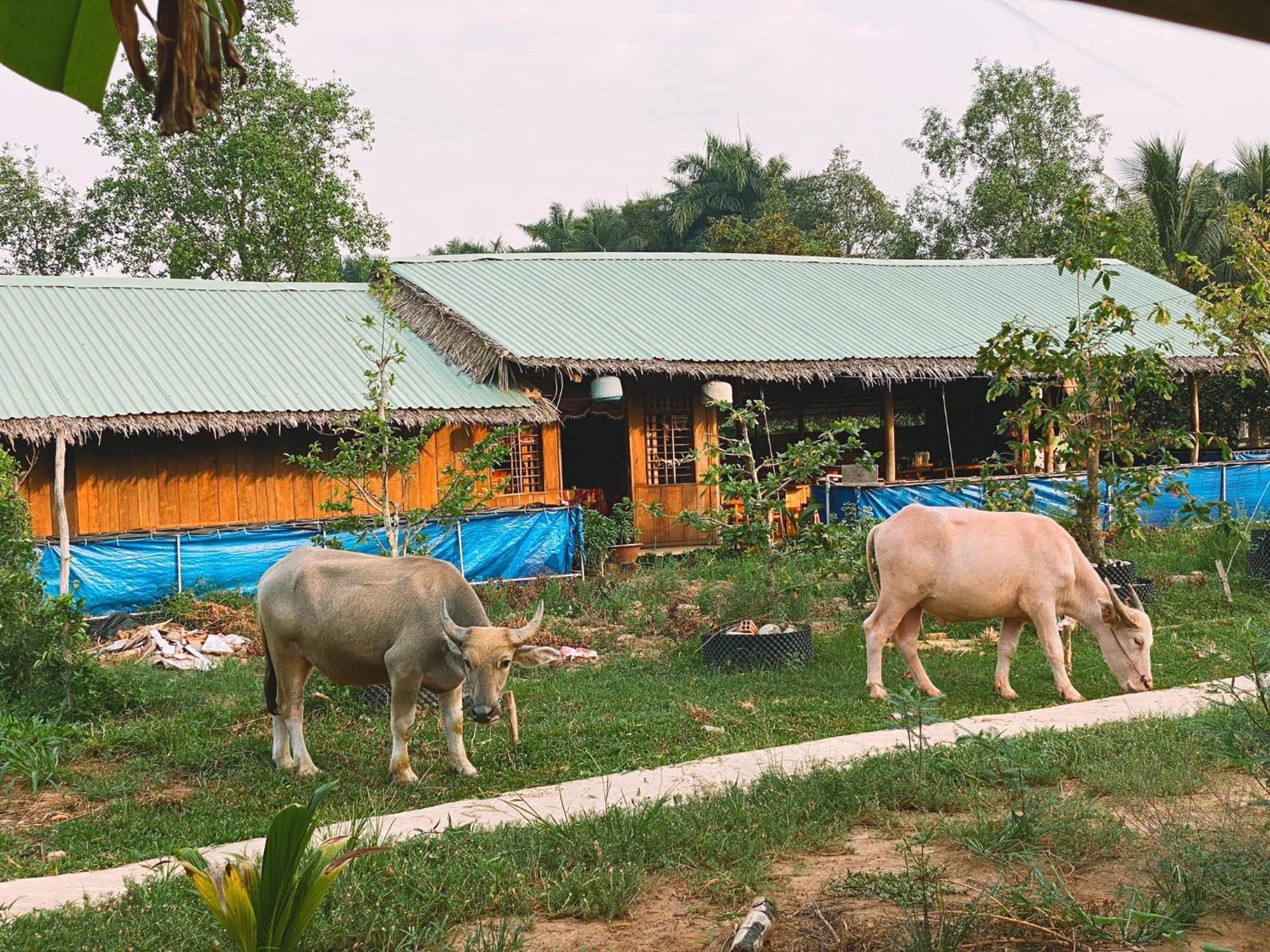 The Local Homestay Con Son Cần Thơ Exterior foto